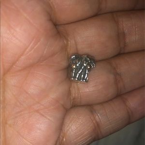 Pandora charm